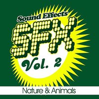 2 Hissing Cats - Sound EFX