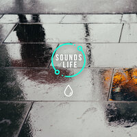 Rain Against Paving, Pt. 11 - Sounds Of Life