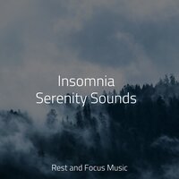 Contemplation Station - Sounds of Nature White Noise for Mindfulness Meditation and Relaxation & Chakra Meditation Universe & The Sleep Specialist