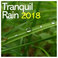 Gentle Summer Rain (Loopable, No Fade) - Rain Sound Studio, Rain and Nature, Relaxing Music Therapy & Relaxing Music Therapy & Rain Sound Studio & Rain and Nature