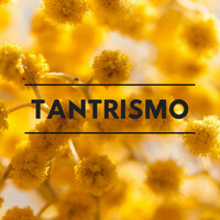 Enamoramiento - Meditación Maestro