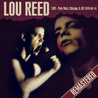Satellite Of Love - Lou Reed