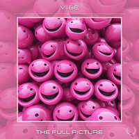 The Full Picture - VIIBE