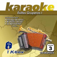 Juguete - Karaoke Box