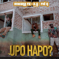 Upo Hapo ? - MwanaFA & AY Masta & Fid Q