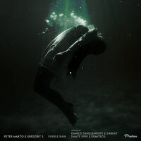 Grey Rain - Peter Makto & Gregory S & Dante Pippi & Demitros