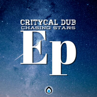 Little Bird - Critycal Dub