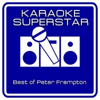 Do You Feel Like We Do - Anne Regler