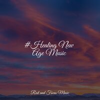 Magical Birds - Spa Music Collective & Relaxation Sleep Meditation & Deep Sleep