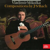 Violin Partita No. 1 in B Minor, BWV1002 - Vladimir Mikulka & Johann Sebastian Bach