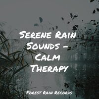Crashing Ocean Waves - Academia de Relaxamento e Meditação & Tranquility Spa Universe & Music to Relax in Free Time