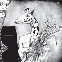 Fly Away (Grey Eyes) - Mushrooms Project