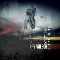Symptomatic - Ray Wilson