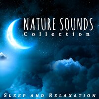 Sleep Cycle - New Feeling & Study Music Specialists & Study Music Specialists & New Feeling