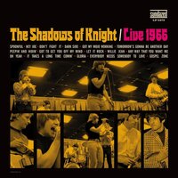 Peepin' and Hidin' - The Shadows Of Knight