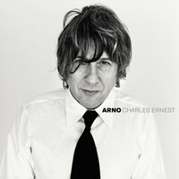 Il Est Tombé Du Ciel - Arno