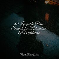 Forest, Campfire, Crackle - Massagem & The White Noise Zen & Meditation Sound Lab & Guided Meditation Music Zone