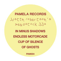 In Minus Shadows - Justin Robertson