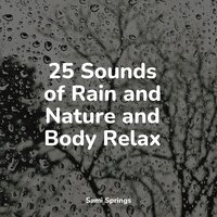 Rain, Leaves, Evening - Rain Sounds Rain & Heavy Rain Sounds & Rain Sounds