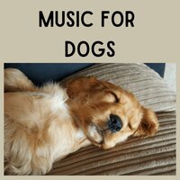 Stress Free Zone - Music for Dogs & Music for Dogs Peace & Relaxing Puppy Music & Calm Pets Music Academy