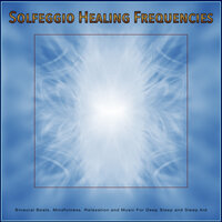 Mindfulness Music - Solfeggio Healing Frequencies & Solfeggio Frequencies 528Hz & The Solfeggio Peace Orchestra