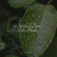 White Noise Waters - Weather Factory & Rainfall & Sleep Makers Samples