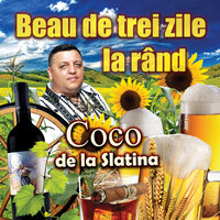 Un om cu inima mare - Coco de la Slatina