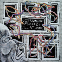 I'll Make You Sorry - Screaming Females