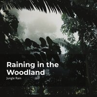 Jungle Scenery Rain - Nature and Rain & Deep Rain Sampling & Jungle Rain