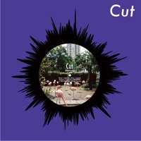 Cut - shotahirama & nobanashi