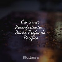 Lúcido - Academia de Relaxamento e Meditação & Música Relajante para Bebés & Relajante