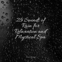 Seagulls on the Beach - Zona Música Relaxante & Sons da Natureza & Sleep Meditation Dream Catcher
