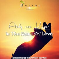 In The Name Of Love - Andy Van Kayne