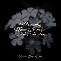 Beach Sunshine - Meditation Music Experience & Bedtime Baby & Music For Absolute Sleep
