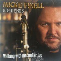 Boogie Chicken Genius - Micke Finell