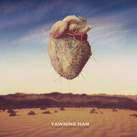 Perpetual Oyster - Yawning Man