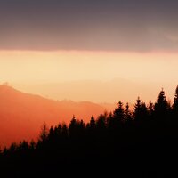 Harmonious Nature - Binaural Beats Brain Waves Isochronic Tones Brainwave Entrainment & Entspannungsmusik Meer & Rain Sounds Nature Collection