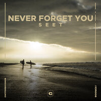 Never Forget You - Seet