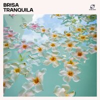 Música de Spa para Meditación - Musica Reiki & Relajacion Del Mar & Música Relajante de Spa & Terapia de Masaje