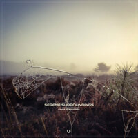 Serene Surroundings - Vince Forwards