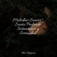 Luces Y Estrellas - Sons da Natureza & Piano Suave Relajante & Canciones de Cuna Relax