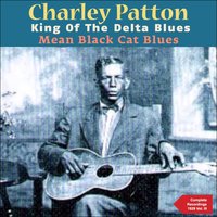 Mean Black Cat Blues - Charlie Patton