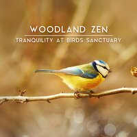 Calming Earth - Calm Singing Birds Zone