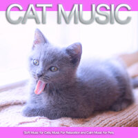 Music For Pet Relaxation - Cat Music & Music For Pets & Music For Cats