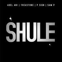 Shule - ADEL ANI & Treastone & P Sign & Sam P