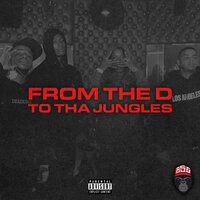From The D To Tha Jungles - Baby Stone Gorillas