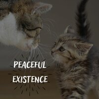 Balanced life - Calm journey & Serene living & Quiet Moments