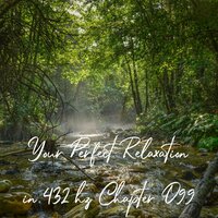 Your Perfect Relaxation in 432 Hz Chapter 099, Pt. 23 - Essential Sleep Music