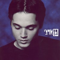 שיר לאחותי - בן ארצי