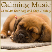 Puppy Kisses - Dog Music Dreams & Relax My Puppy & RelaxMyDog